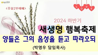 20241110 주일2부 양들은 그의 음성을 듣고 따라오되박영우 담임목사 [upl. by Ynaffet]