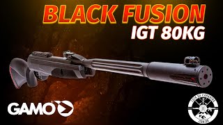 Carabina Gamo MACH 1 Black Fusion 55mm Gas Ram IGT 80KG Com Silenciador Sistema Whisper [upl. by Mathias628]