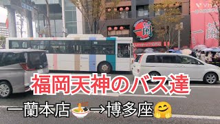 【福岡天神のバス達③🤗】「一蘭本店→博多座」編 [upl. by Siahc]