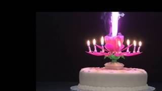 Rotating Musical Flower Candle [upl. by Shawna]