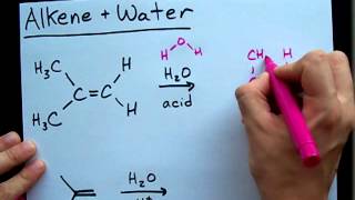 Alkene and Water Reaction  Alcohol [upl. by Georglana]