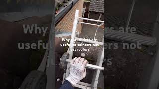 Cat ladders for painting painting exterior viralvideo sikkens paint [upl. by Thelma702]