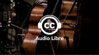 MUSIQUE AFRICAINE GRATUITE LIBRE DE DROIT NO COPYRIGHT [upl. by Aryk]