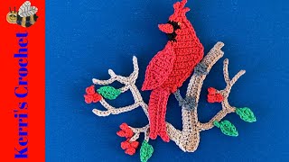 Crochet Cardinal Tutorial – Crochet Applique Tutorial [upl. by Sinegold125]