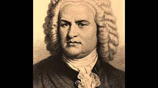 Johann Sebastian Bach  Tocata y fuga en re menor BWV 565 [upl. by Meredi]