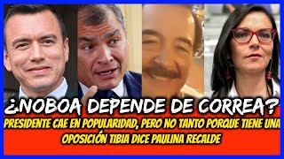 ¿Noboa depende de Correa Presidente cae en popularidad pero no tanto por oposición tibia [upl. by Nonnair]