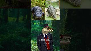 What’s The Difference Between Alligators and Crocodiles [upl. by Jedd271]