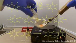 The identification of the uric acid The murexide test [upl. by Lawan544]