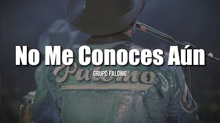 Palomo  No Me Conoces Aún LETRA [upl. by Zink]