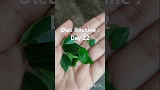 Diet Routine Day 22  Diet Plan  weight loss  Be healthy  healthy food  Pulse Of Sunshine [upl. by Quincy]