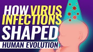 Virus DNA in human genome evolution by infection [upl. by Laural753]