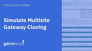 How to Simulate Multisite Gateway Cloning with Geneious Prime [upl. by Navnod]