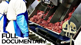 The Meat Lobby Inside the Abyss of an Industry  ENDEVR Documentary [upl. by Elleivad234]