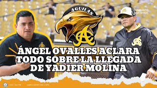 Ángel Ovalles aclara todo sobre la llegada de Yadier Molina a las Águilas [upl. by Gilli291]