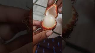 Rambutan 😋😋 [upl. by Ahsienel]