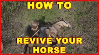 Red Dead Redemption 2 How to Revive Your Horse [upl. by Eniwtna43]