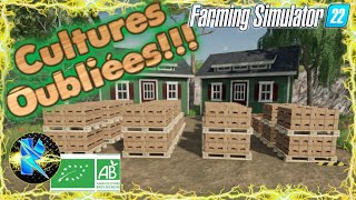 Fs22 Cultures Oubliées 31 On rajoute un spot dabeilles farmingsimulator farming [upl. by Felske115]