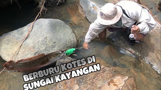 SUNGAI INI SURGANYA IKAN KOTES‼️ [upl. by Amedeo]