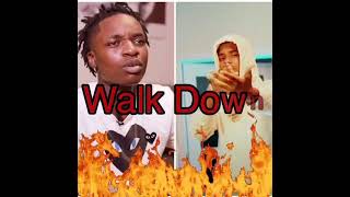 BigKayBeezy  Walk Down Feat Pooh Shiesty Bass Boosted [upl. by Arrehs]