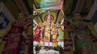 Kundrathur murugar🦚 Arjun Anjaneyar temple 💕🙏 trending shorts shortsfeed youtubeshorts travel [upl. by Ana]