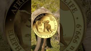 🐘 Somalia Elephant 1oz Gold Coin 2024 from CelticGold [upl. by Gittel]