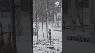 First Snow in Walenstadt Switzerland switzerland viralvideo snow shorts [upl. by Nikal]