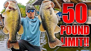 BEST DAY EVER SWIMBAIT FISHING ON YOUTUBE 15 Bass OVER 7 Pounds [upl. by Sorensen]