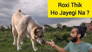 Kaalu Or Roxi  Roxi Thik To Ho Jayegi Naa [upl. by Hastings]