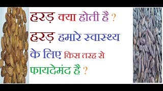 हरड़ क्या होती है  हरड़ के इतने गुणों के बारे में आप नहीं जानते होंगे  Harad ke fayde  Benefits [upl. by Dragoon475]