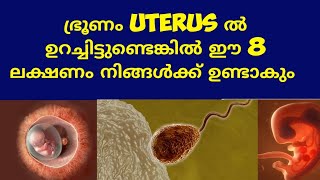 8 Symptoms of Pregnancy Deechus world Malayalam [upl. by Dnomhcir]