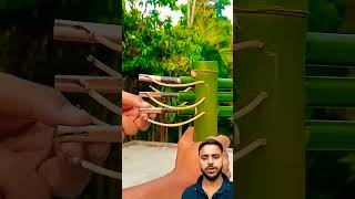 How to make bans ke ped ka kaise banaen teer kaman shorts shortvideo youtubeshorts like share [upl. by Akere]