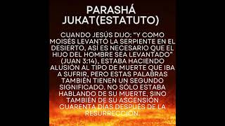 LEVANTADO POR UN MILAGRO parasha torah motivarte [upl. by Winne572]