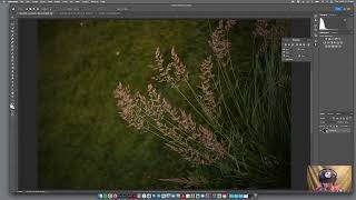 Create Diptych in Photoshop Multi Image Layout for File or Print [upl. by Solhcin]