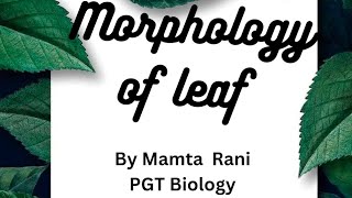 Morphology of leaf 🌿 chapter 5 class 11th trystwithbiology8806 [upl. by Hogle]