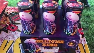 Jelly Fish King By T Sky Fireworks [upl. by Ailerua]