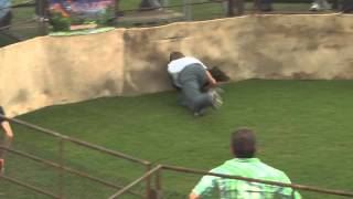 2012 Wild Hog Catching  Wrestling World Championship Sabinal Texas  Jacob [upl. by Irab]