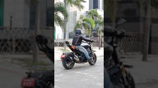 2021 Benelli 502 C Review  Teaser  shorts [upl. by Ayhtnic825]