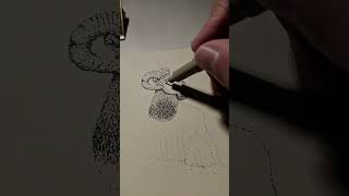 Stippling fineliner drawing a bighorn sheep sketching stipplingart pointillism [upl. by Luy]