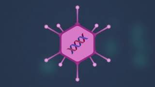 How do AdenovirusBased Vaccines work [upl. by Mears]