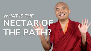 What Is the Nectar of the Path — Mingyur Rinpoche [upl. by Hamann]