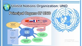 Organs of United Nations Organization  Organs of UNO [upl. by Eidnac129]