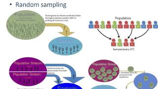 Sampling in Quantitative Research [upl. by Torry]