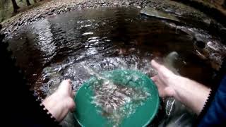 GOLD panning IN THE PEAK DISTRICT [upl. by Friedland729]