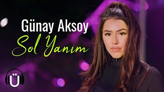 Günay Aksoy  Sol Yanım Official Music Video [upl. by O'Meara536]