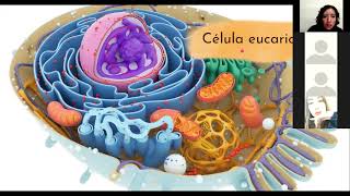 La célula en la replicación viral [upl. by Tartan]