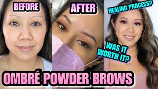 OMBRE POWDER BROW  HEALING PROCESS  OMBRE POWDER BROWS HEALING PROCESS  3 MONTH UPDATE [upl. by Sachi872]