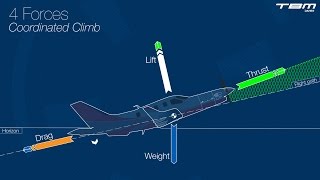 Principles of flight – Part 1  Fundamentals [upl. by Dominga]