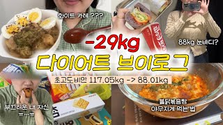 88kg 여자의 입터짐 amp 일상 다이어트 브이로그 식단추천 집밥브이로그 화이트카레 화이트스튜 만드는법 불닭볶음탕면 맛있게 먹는법 과자 폭식 [upl. by Llert]