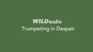 WILDaudio Trumpeting in Despair [upl. by Richie101]