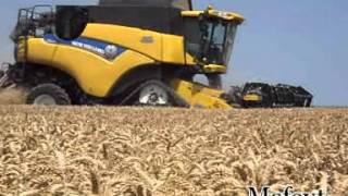 New Holland Cr 8080  Trebbiatura frumento 2012 [upl. by Lola]